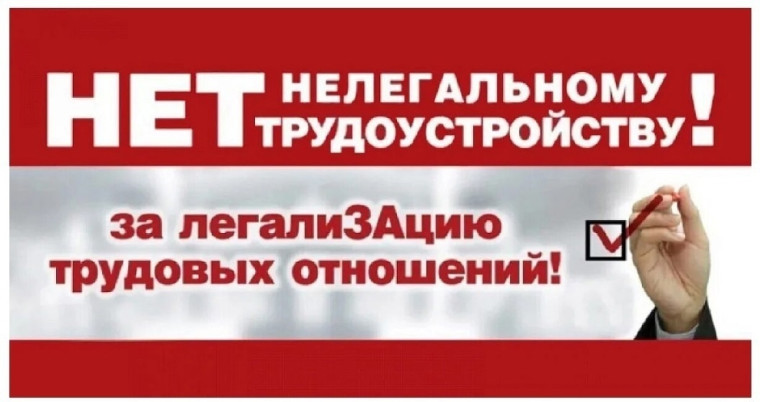 Противодействие нелегальной занятости.